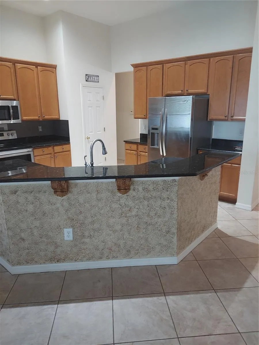 1003 LUMSDEN TRACE CIRCLE Valrico, FL 33594