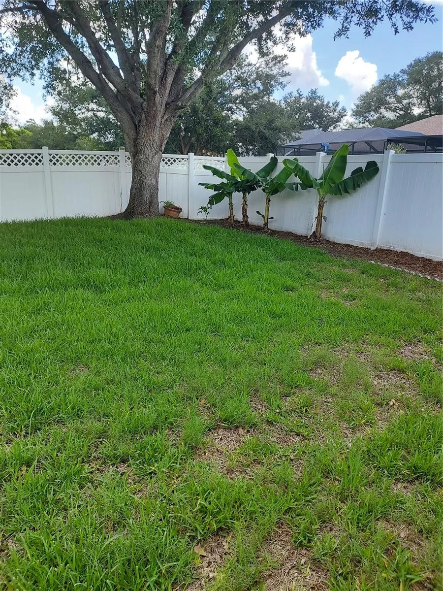 1003 LUMSDEN TRACE CIRCLE Valrico, FL 33594