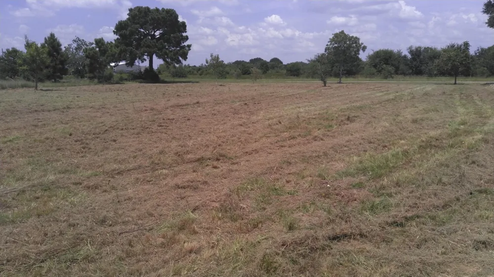32519 Gadwall Street Brookshire, TX 77423