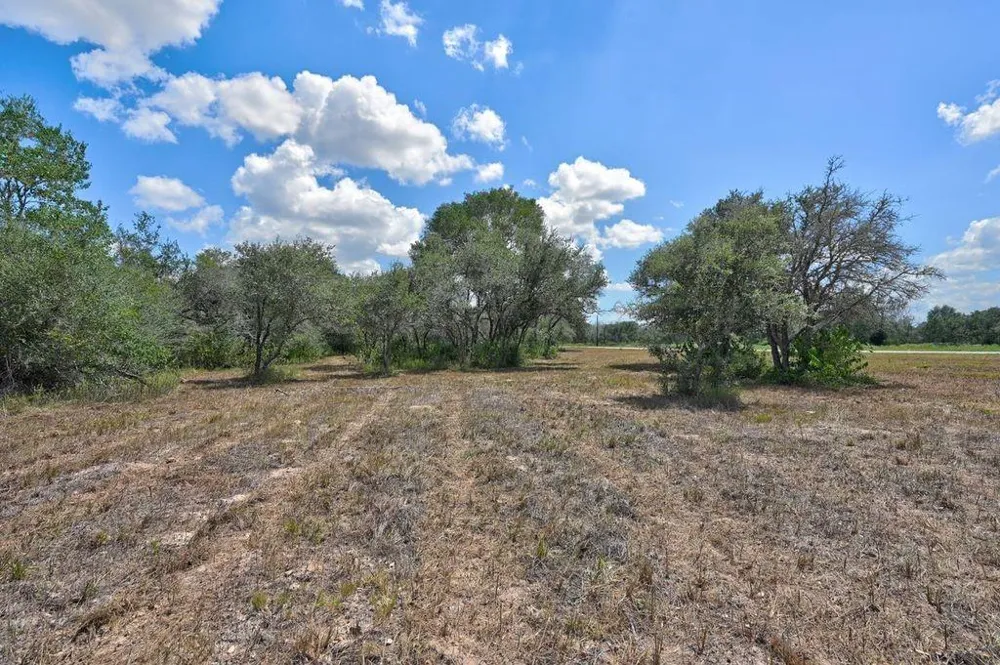 Wigeon Lane Columbus, TX 78934
