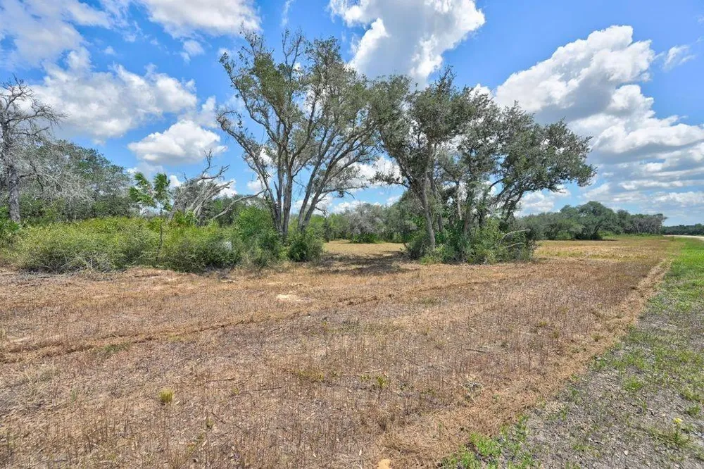 Wigeon Lane Columbus, TX 78934