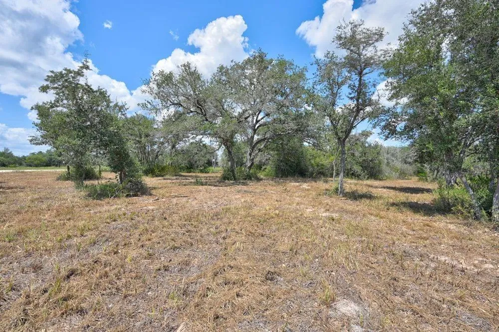 Wigeon Lane Columbus, TX 78934