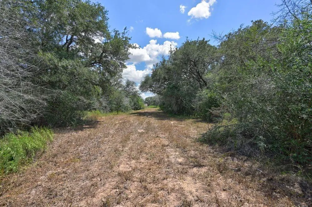 Wigeon Lane Columbus, TX 78934