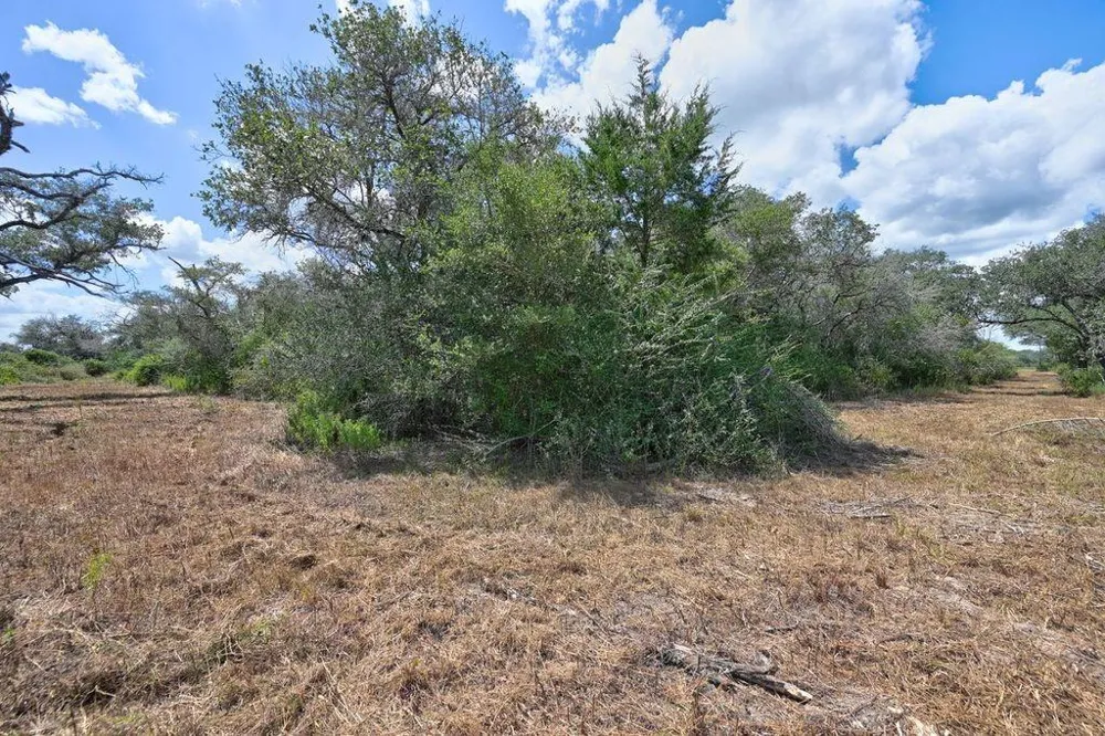 Wigeon Lane Columbus, TX 78934