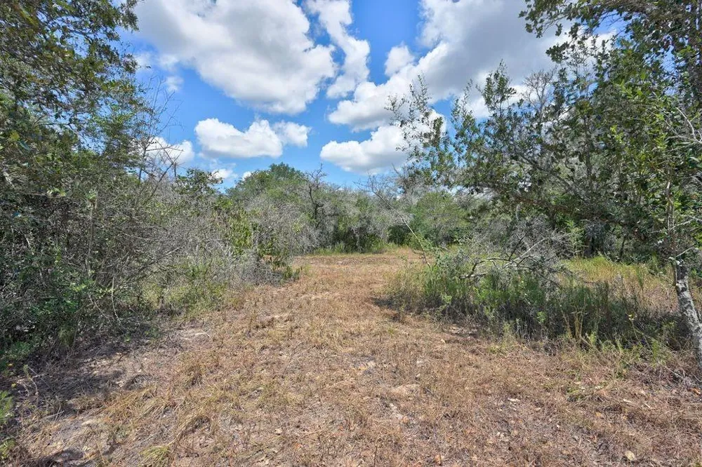 Wigeon Lane Columbus, TX 78934