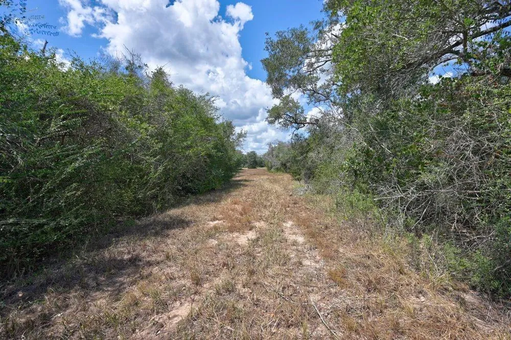 Wigeon Lane Columbus, TX 78934