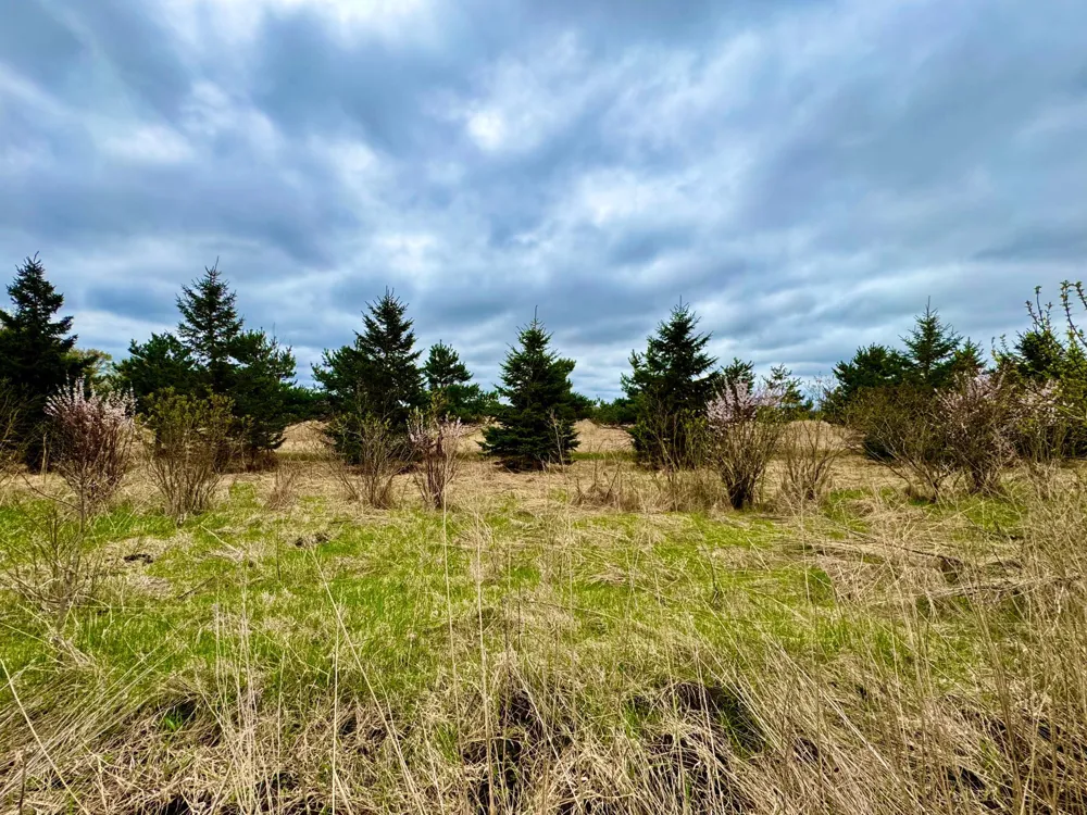 10895 Grand Lake Road Cold Spring, MN 56320