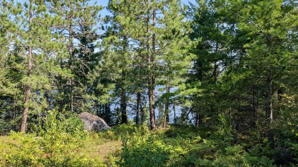 4010 Kennedy Road Cook, MN 55723