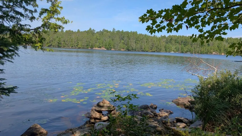 4010 Kennedy Road Cook, MN 55723
