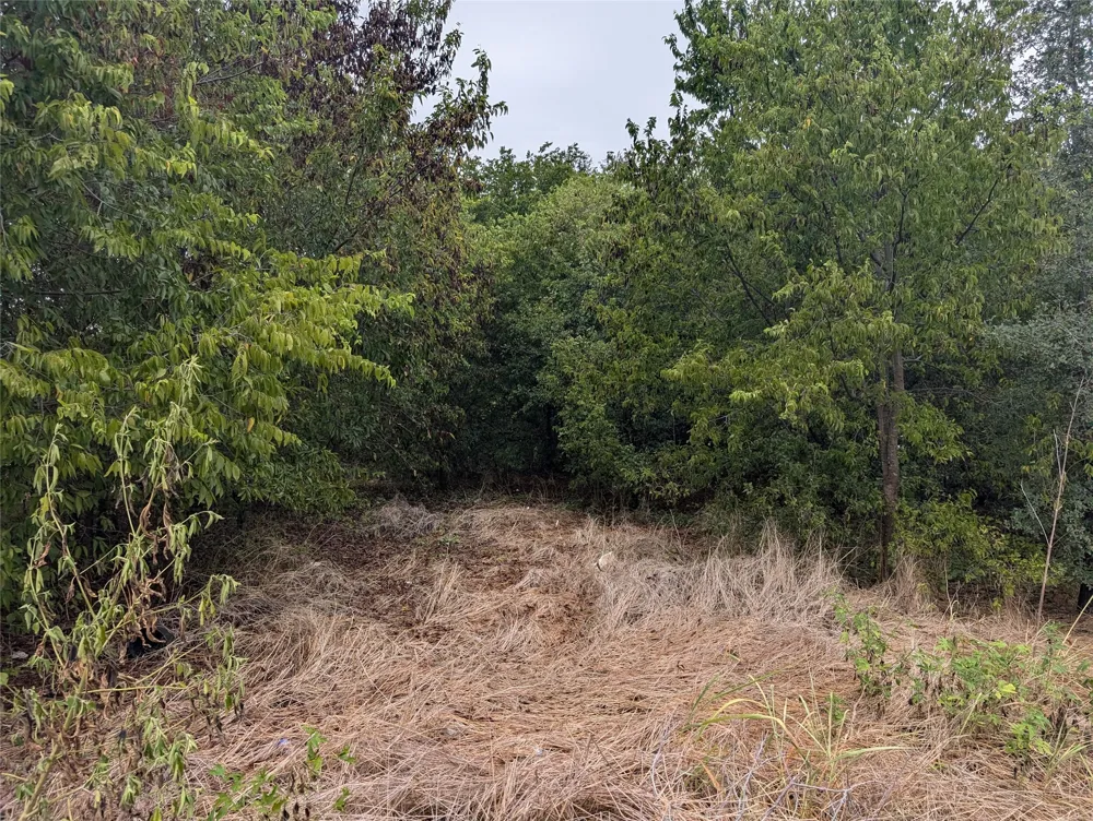 8919 Cartwright Drive Cresson, TX 76035