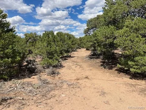8 Coyote Court