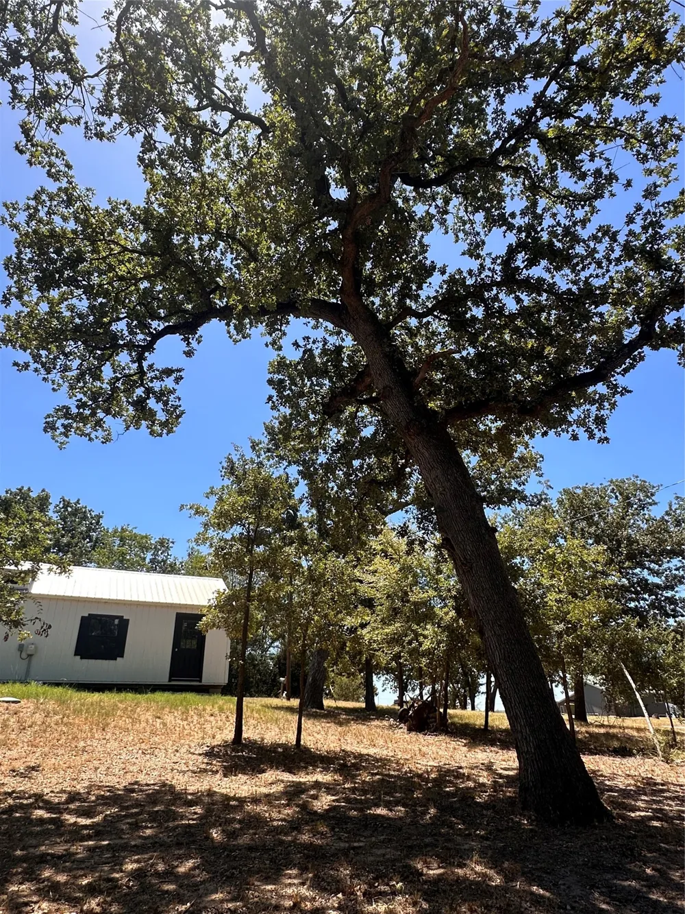 LCR 908 Jewett, TX 75846