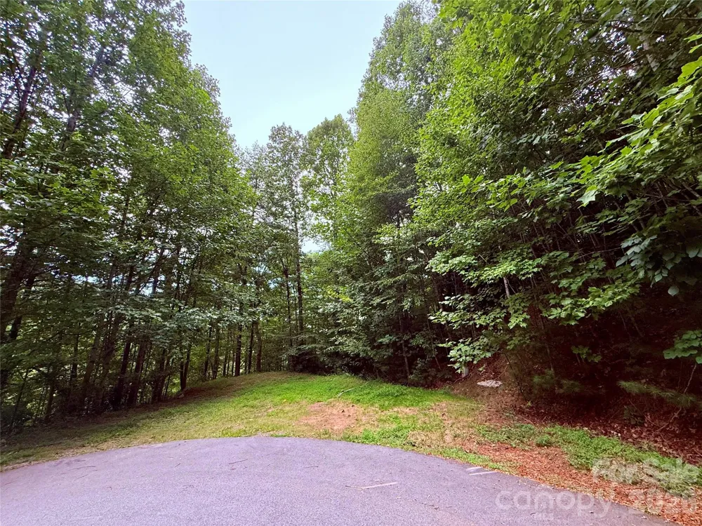 TBD Parkway View Lane #L1 Penrose, NC 28766