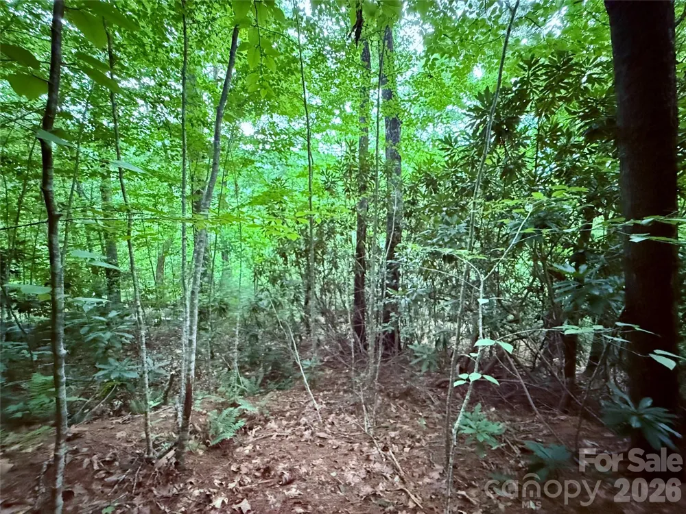 TBD Parkway View Lane #L1 Penrose, NC 28766