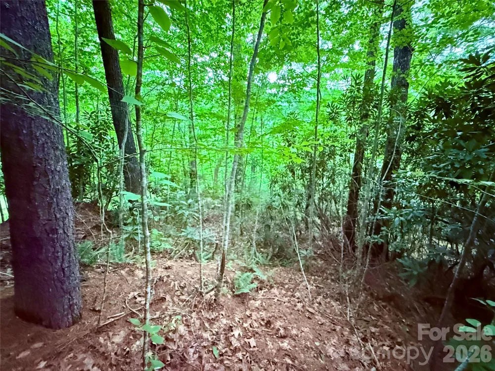 TBD Parkway View Lane #L1 Penrose, NC 28766
