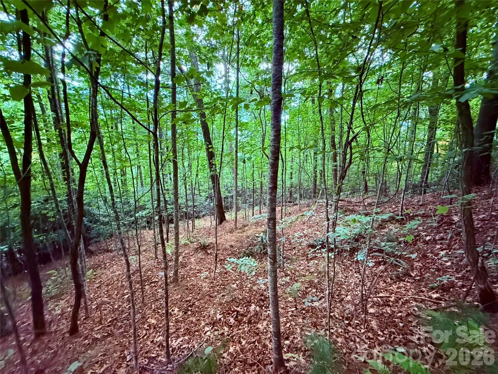 TBD Parkway View Lane #L1 Penrose, NC 28766