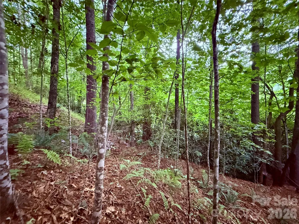 TBD Parkway View Lane #L1 Penrose, NC 28766