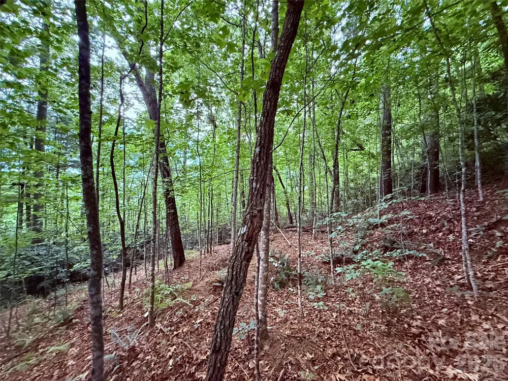 TBD Parkway View Lane #L1 Penrose, NC 28766