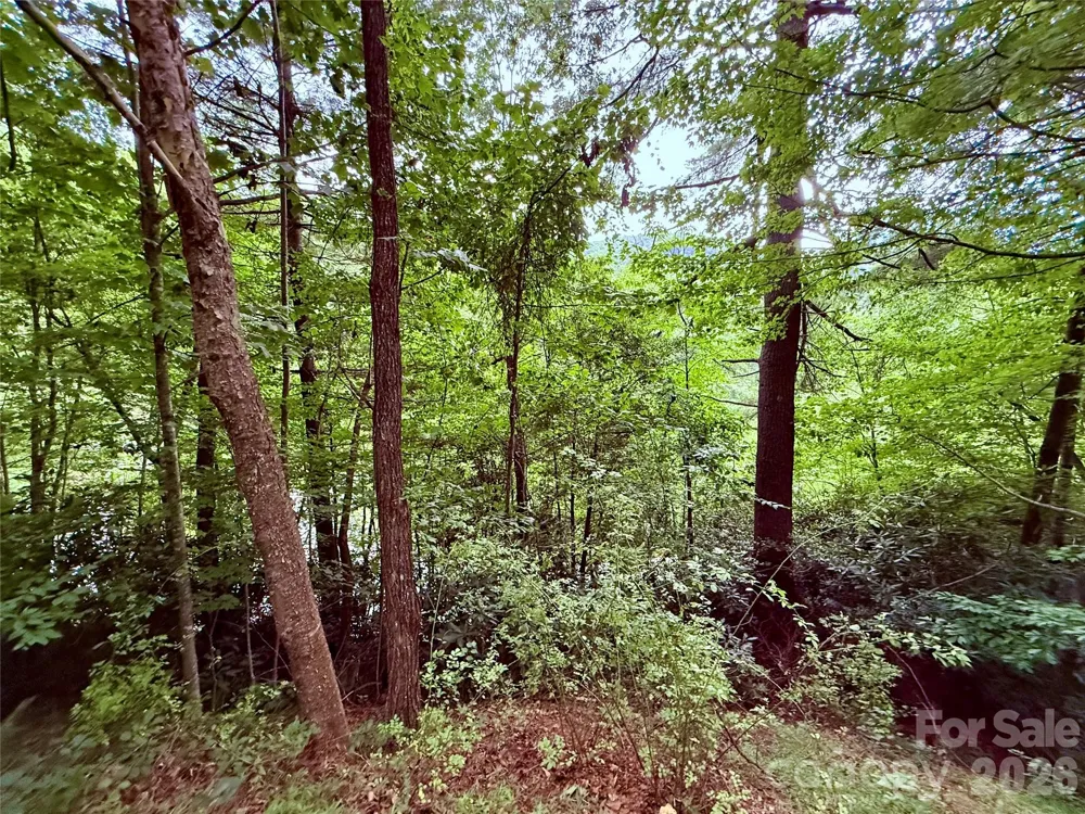 TBD Parkway View Lane #L1 Penrose, NC 28766
