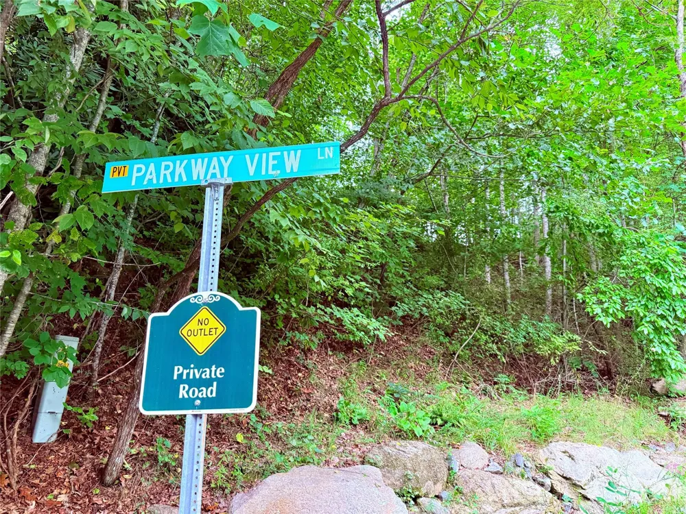 TBD Parkway View Lane #L1 Penrose, NC 28766