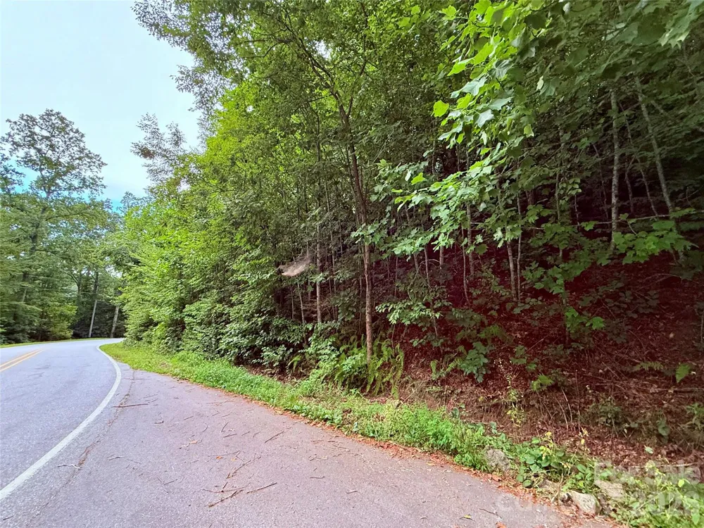 TBD Parkway View Lane #L1 Penrose, NC 28766