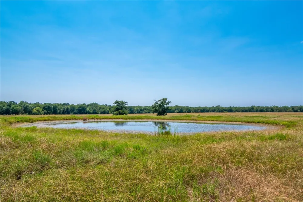 Hwy 34 Ladonia, TX 75449