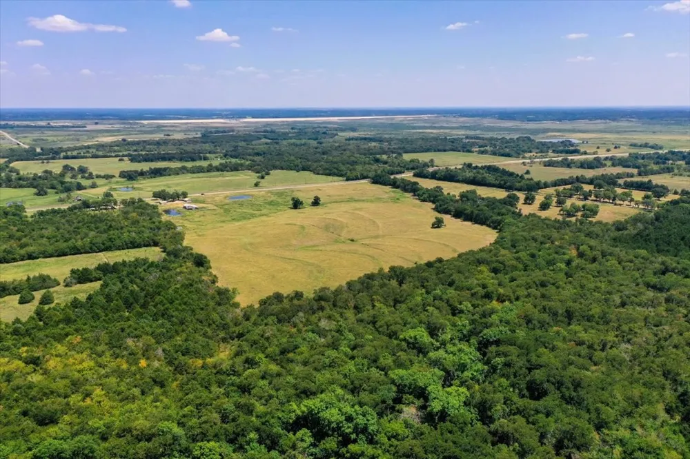 Hwy 34 Ladonia, TX 75449