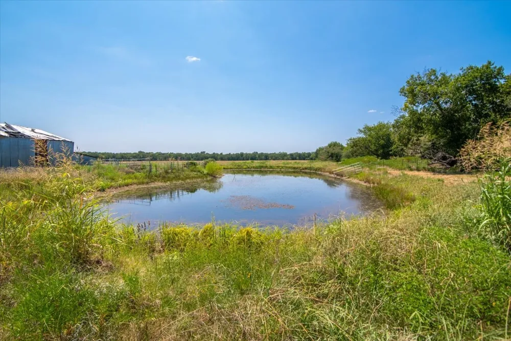 Hwy 34 Ladonia, TX 75449