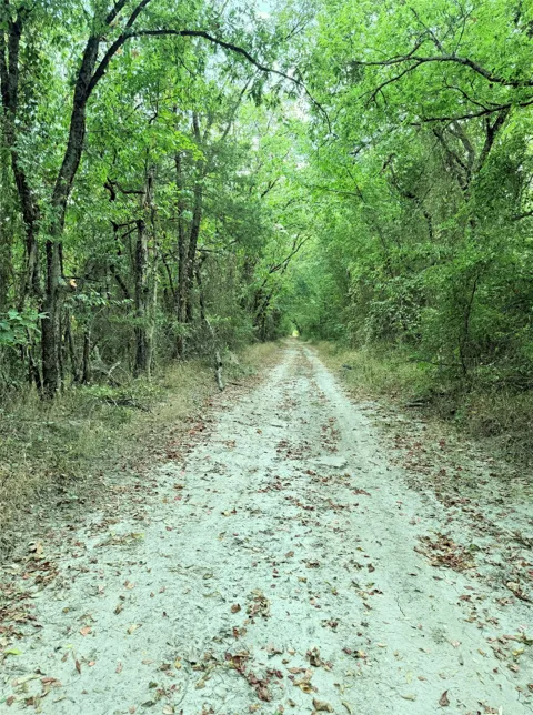 6343 County Road 4727
