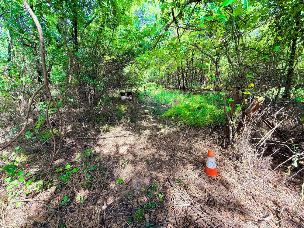 6343 County Road 4727 Wolfe City, TX 75496