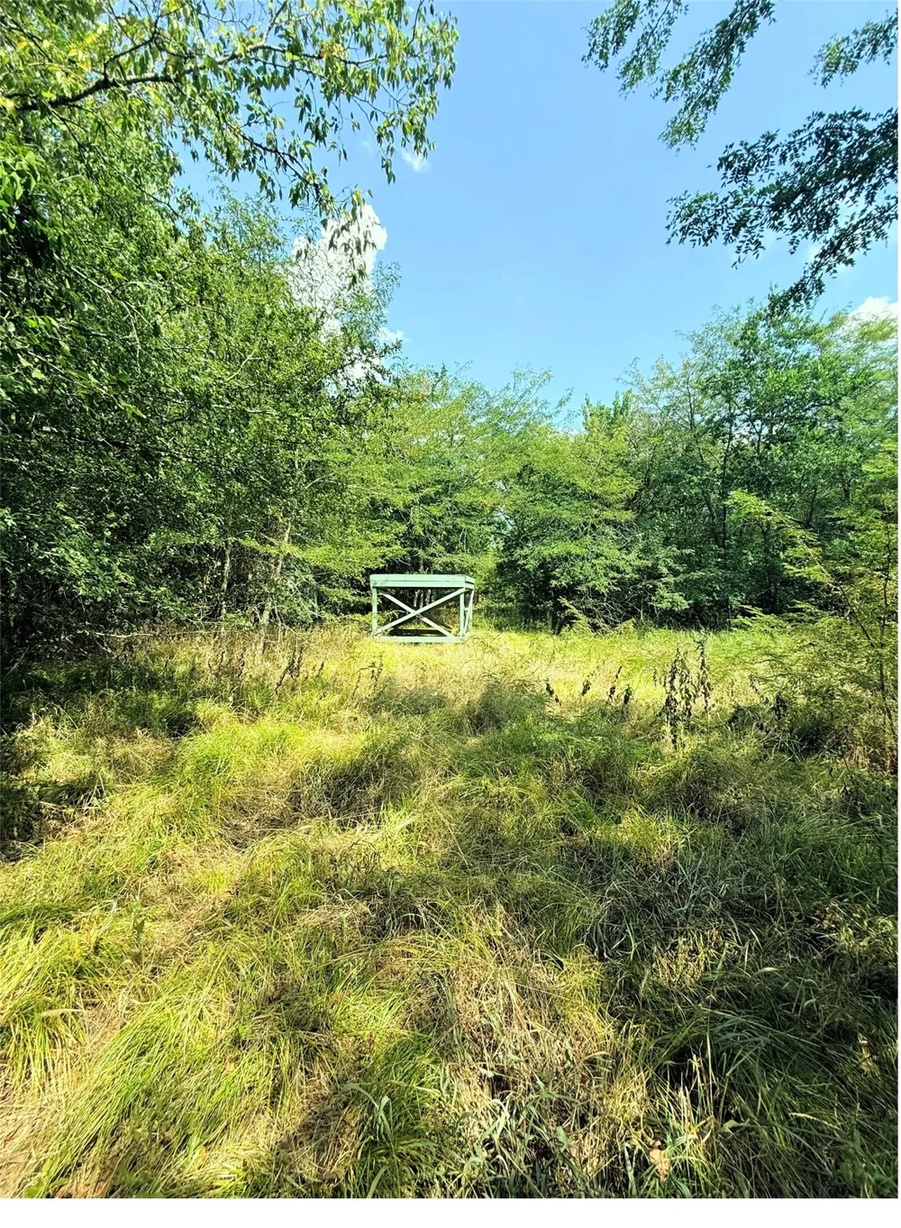 6343 County Road 4727 Wolfe City, TX 75496