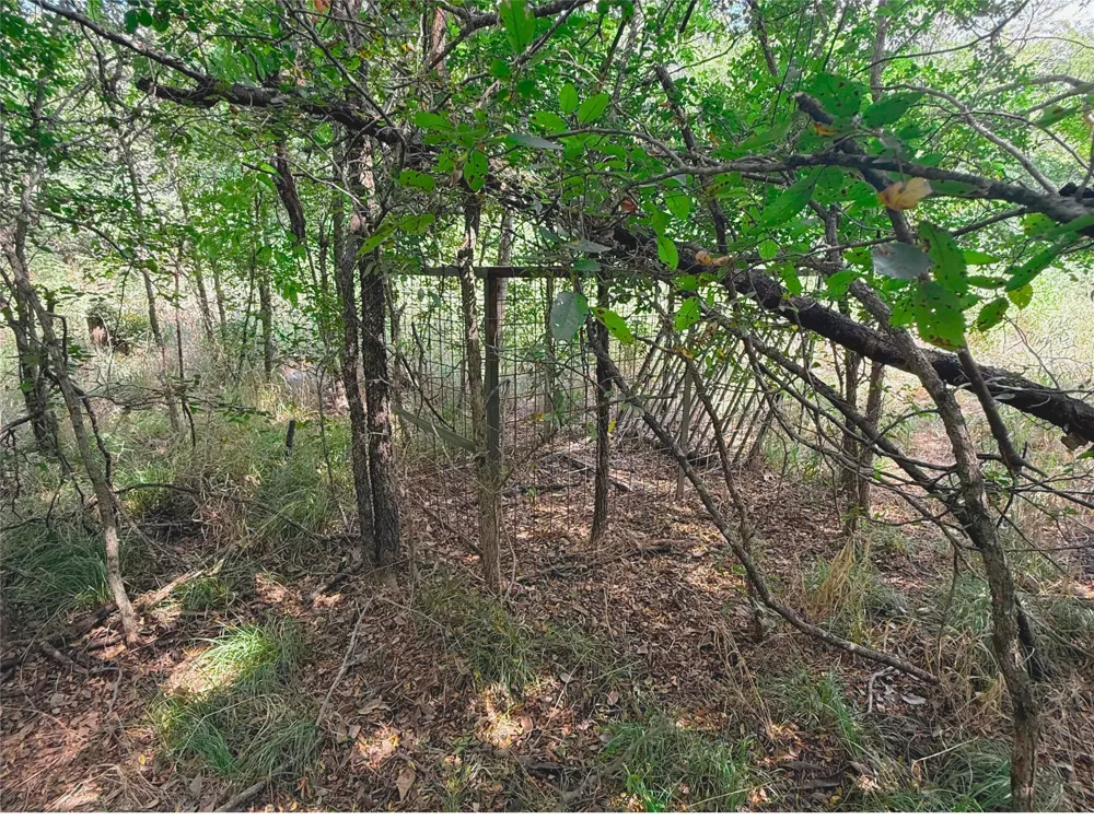6343 County Road 4727 Wolfe City, TX 75496
