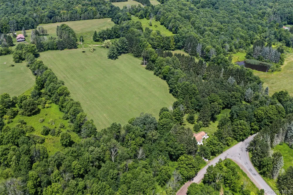 2695 Pomeroy Road Other, NY 13846