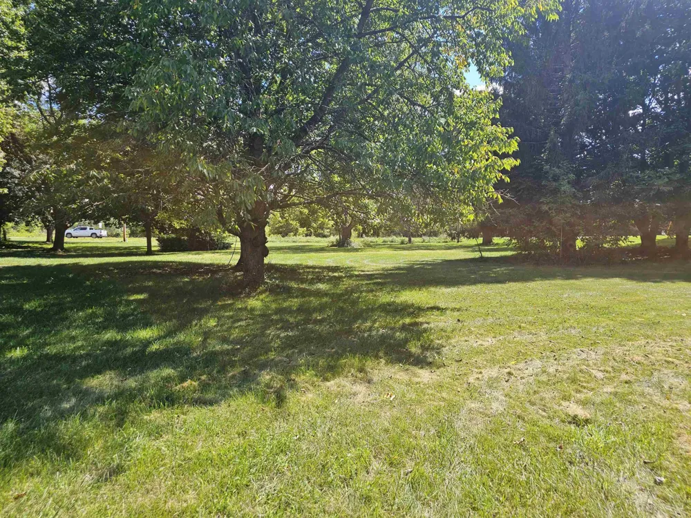 S Williams Street Perry City, MI 48872