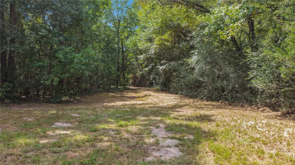 1215 Trinlady Park Road Trinity, TX 75862