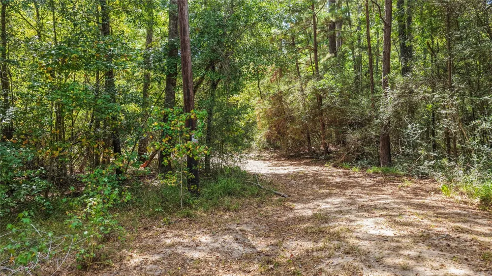 1215 Trinlady Park Road Trinity, TX 75862