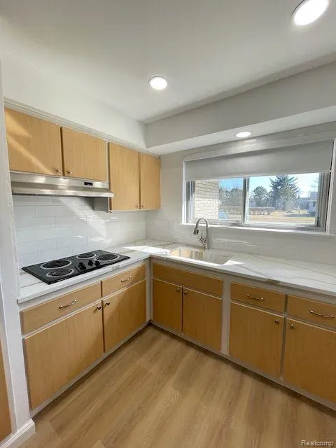 17423 MOORS Fraser City, MI 48026
