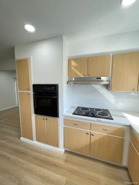 17423 MOORS Fraser City, MI 48026
