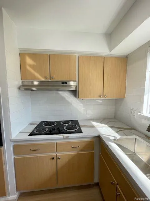 17423 MOORS Fraser City, MI 48026