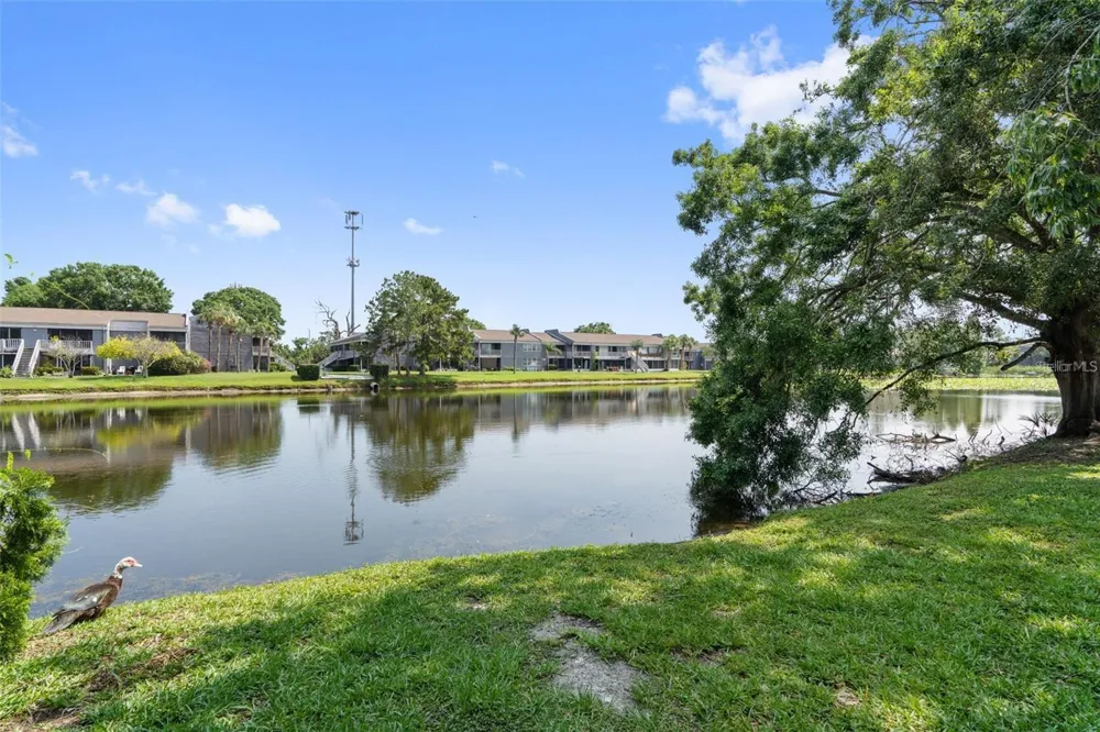 4009 MURIEL PLACE Tampa, FL 33614