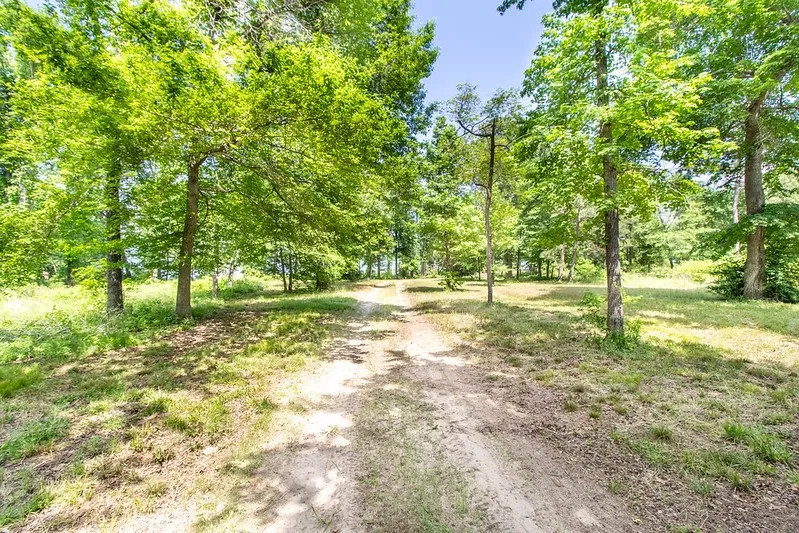 3126 Shadow Pine Drive Larue, TX 75770