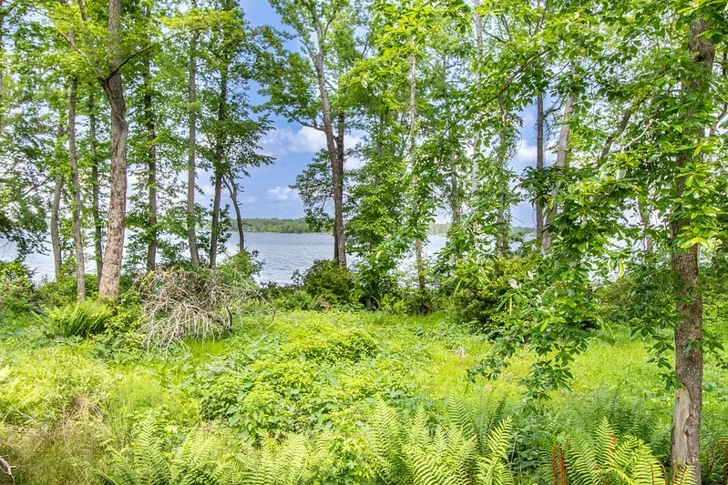 3126 Shadow Pine Drive Larue, TX 75770
