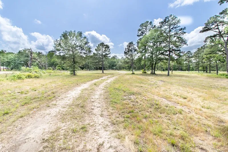 3126 Shadow Pine Drive Larue, TX 75770