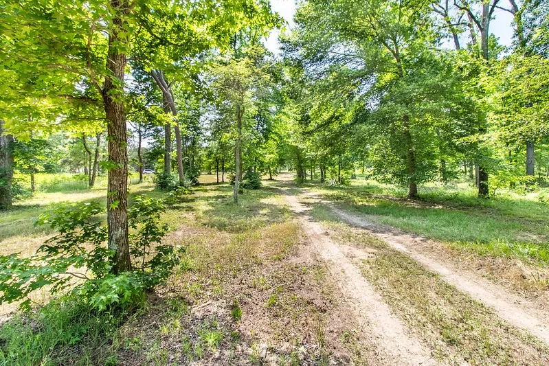 3126 Shadow Pine Drive Larue, TX 75770
