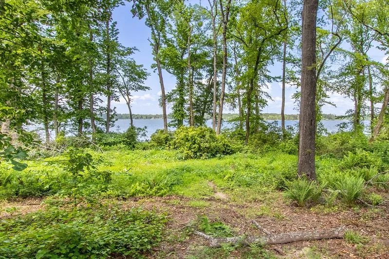 3126 Shadow Pine Drive Larue, TX 75770