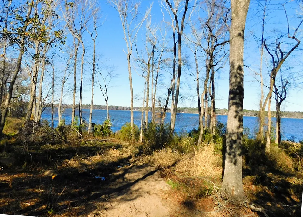 3126 Shadow Pine Drive Larue, TX 75770