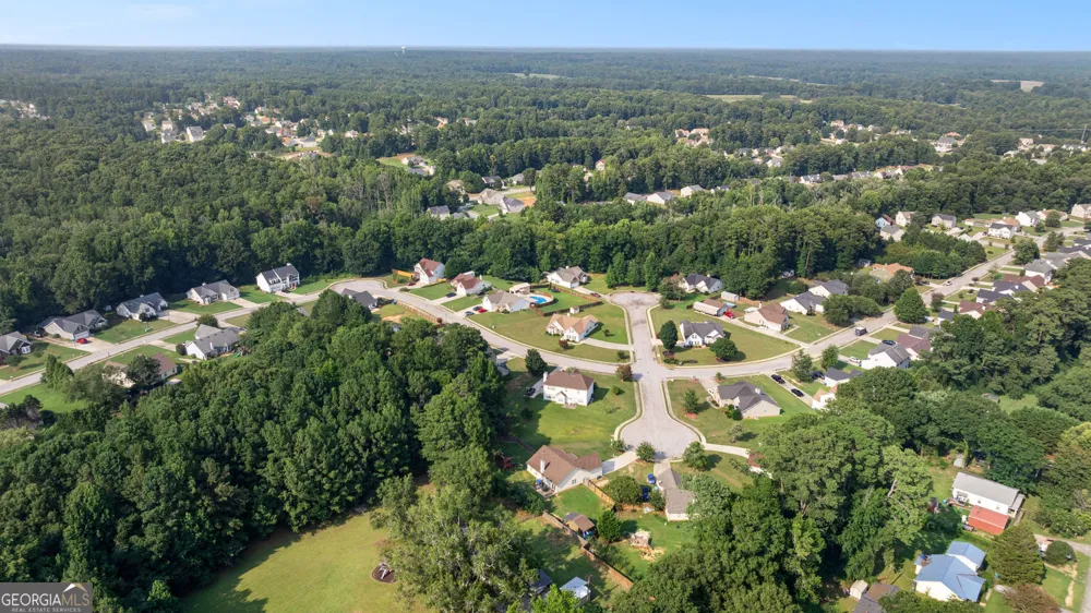 1003 Marsh CT Hampton, GA 30228