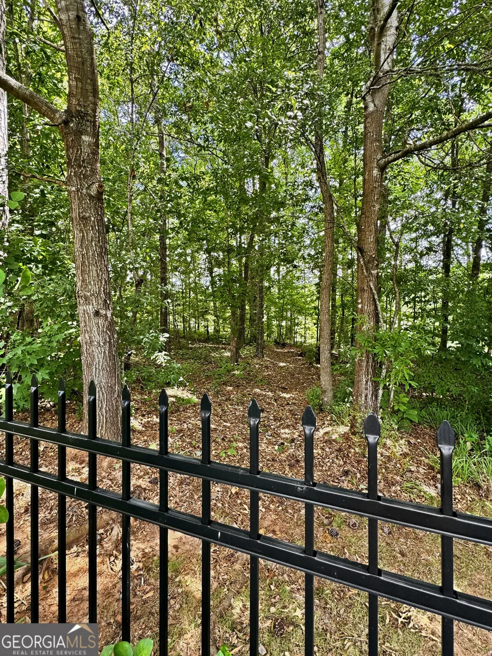 1141 Pebble Creek LN Locust Grove, GA 30248