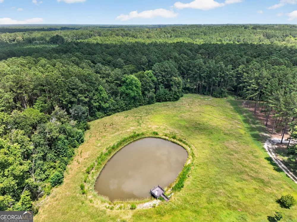 1293 Pine Ridge DR Claxton, GA 30417