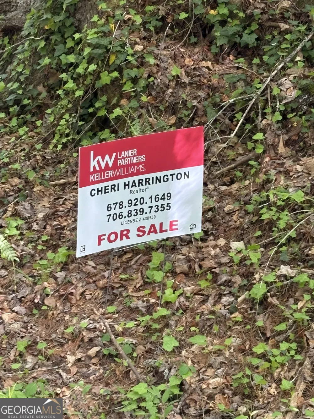 0 Western Way Rabun Gap, GA 30568